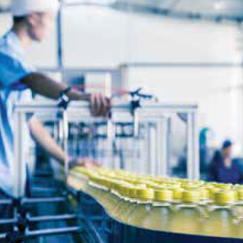 Thermo Scientific Global Versa Checkweighers